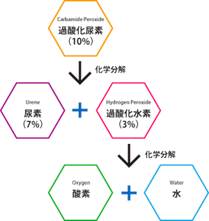 原宿駅前歯科 歯が白くなる原理